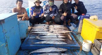 Spot Mancing Ikan Tenggiri di Kepulauan Seribu, Bulan Terbaik Mancing Tenggiri
