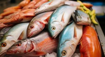 10 Ikan Favorit Orang Indonesia Mengandung Merkuri Tinggi