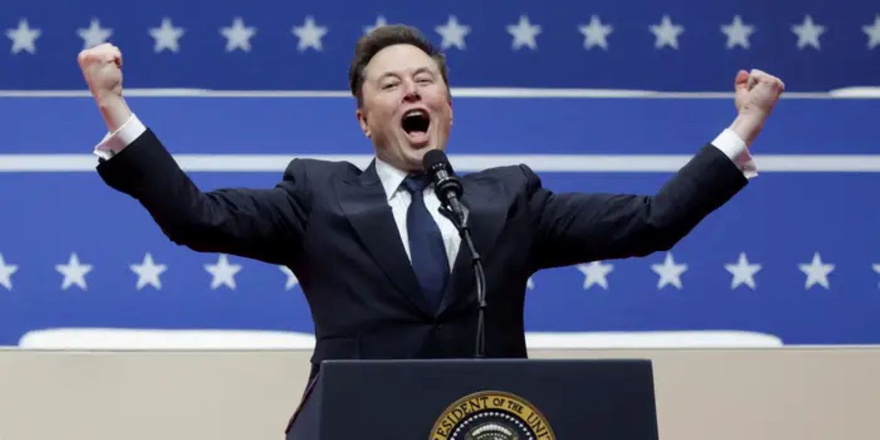 elon musk